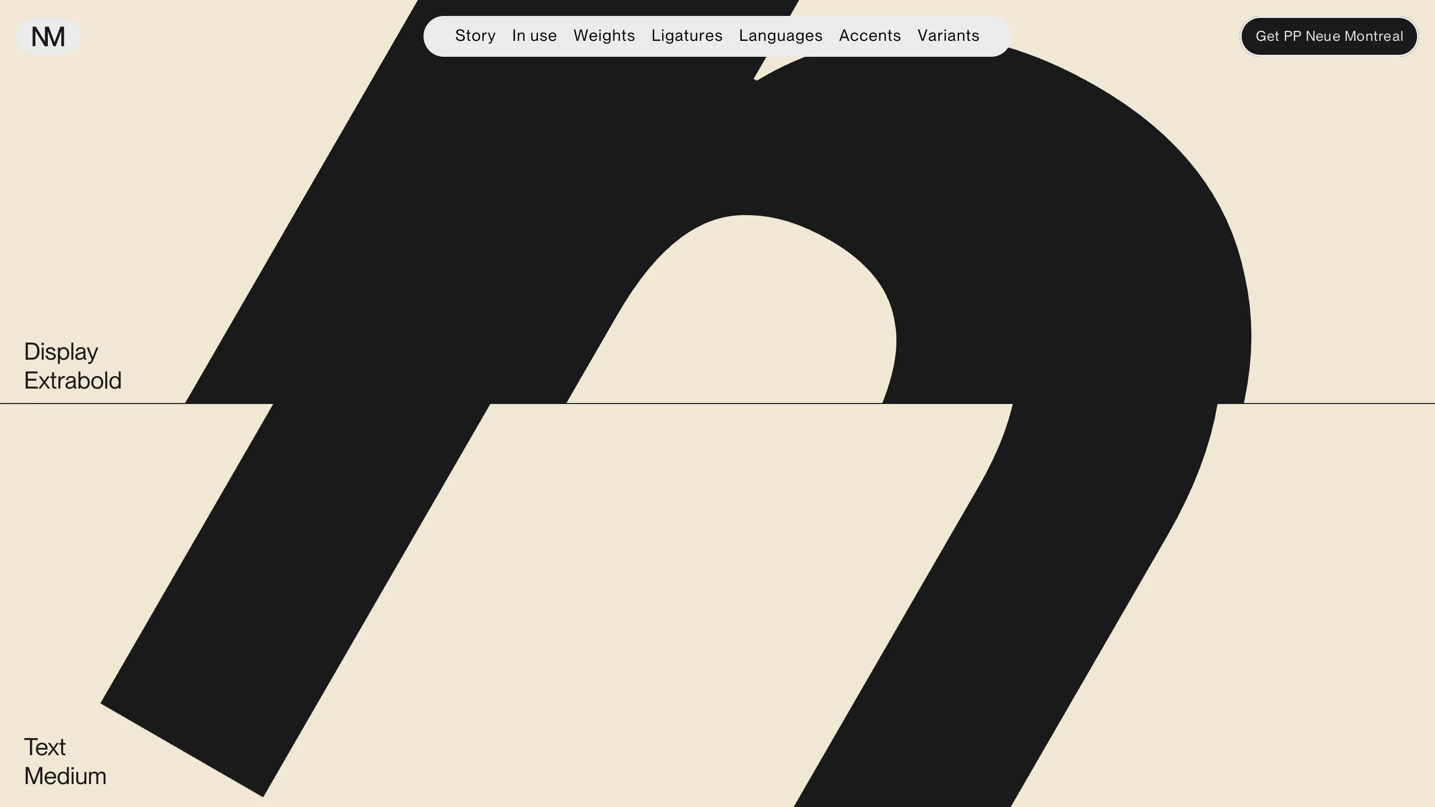 A single letterform enlarged past the edges of the screen, split horizontally by a thin rule, labelled Display Extrabold above and Text Medium below